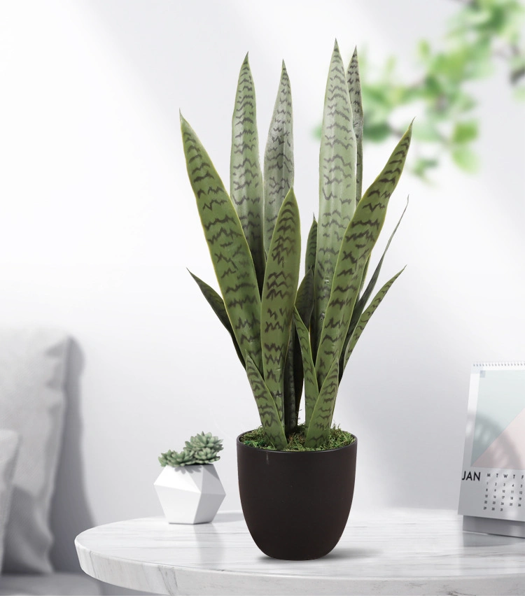 Artificial Table Decoration Plastic Sansevieria Hahnii Snake Plant with Pot for Sale