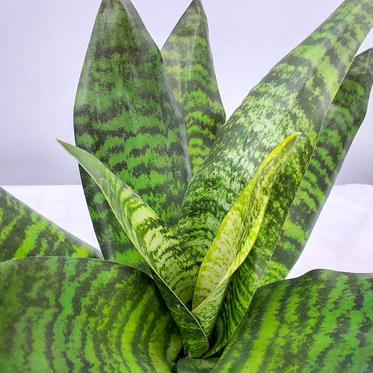 Artificial Landscaping Plastic Plant Green Artificial Snake Plant Potted Agave