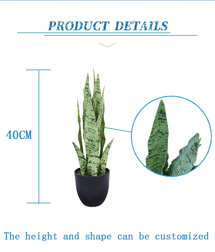 High Quality Indoor Sansevieria Laurentii Plant Shop, Hotel Artificial Tree Bonsai