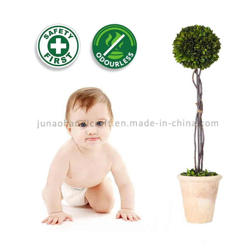 100% Natural Preserved Boxwood Topiary Bonsai Mini Double Balls Tree Plant