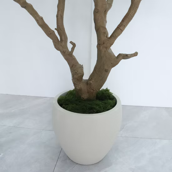 Vasos de plantas artificiais oliveira bonsai para escritório doméstico